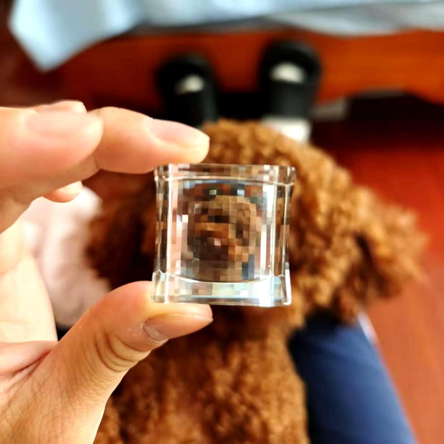 The Pixel Magic Lens