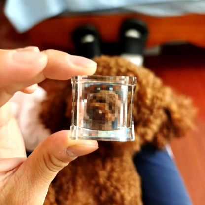 The Pixel Magic Lens