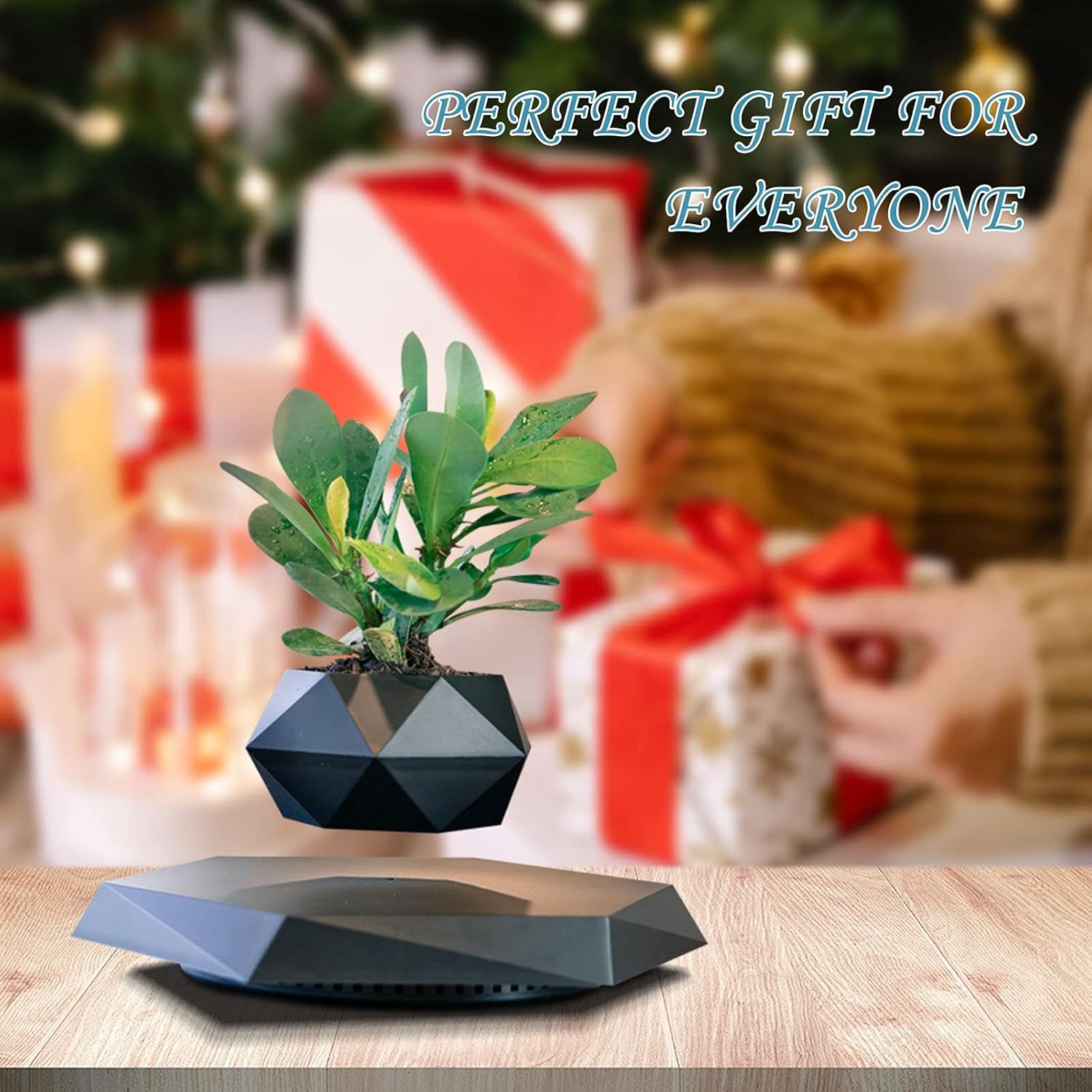 HCNT Floating Pots for Plants
