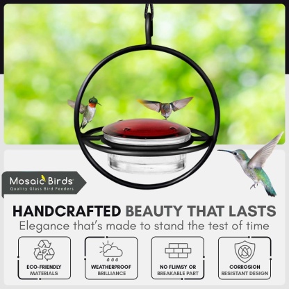 Hummingbird Water Feeder | 4 Feeding Ports Feeder