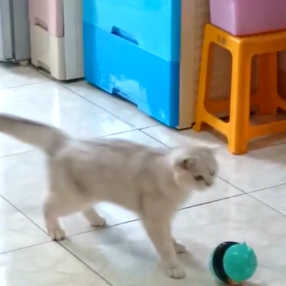 Adjustable food dispensing Cat Toys Ball