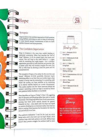 ☀️The Bible In A Year: A 52-Week Study ☀️