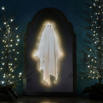 🃏Halloween Hologram Ghost Mirror🃏