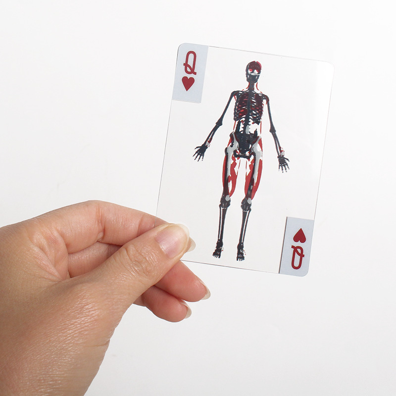 🃏Human Anatomy Playing Cards with 3D Images🃏