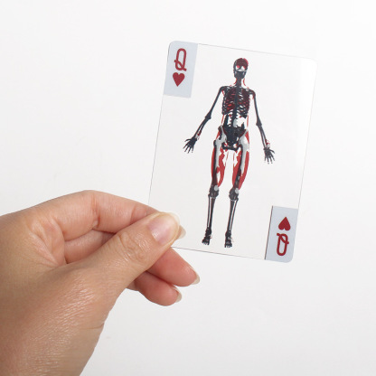 🃏Human Anatomy Playing Cards with 3D Images🃏