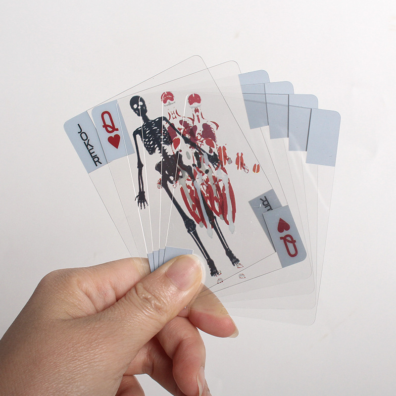 Human Anatomy Playing Cards