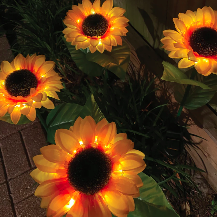 Solar Sunflower Lights
