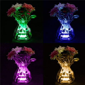 LED Pool Lights (Remote Control)