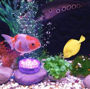 LED Pool Lights (Remote Control)