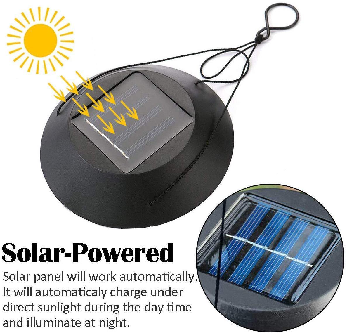 【50% OFF】Solar Powered Hummingbird Lights - 100% Waterproof!