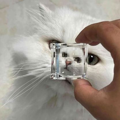 The Pixel Magic Lens