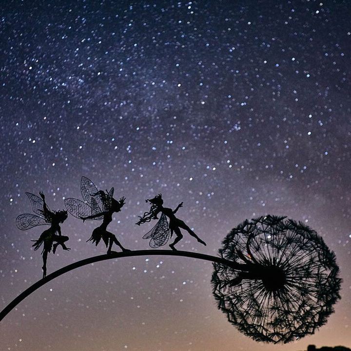 Perfect Wonderland Garden Decoration