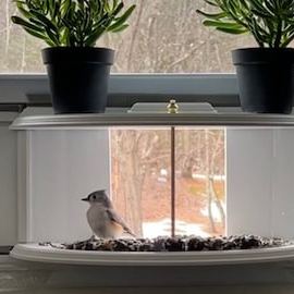 Window Bird Feeder-180° Clear View