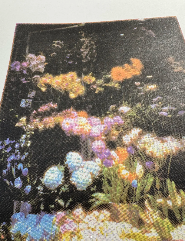 120 mesh print example showing balanced detail and coverage for graphic prints