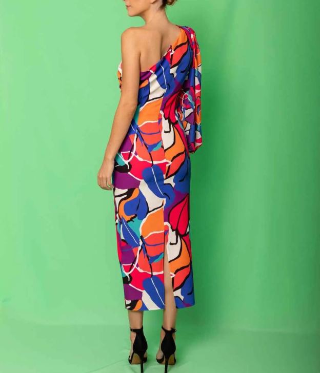 Elaine Print Dress