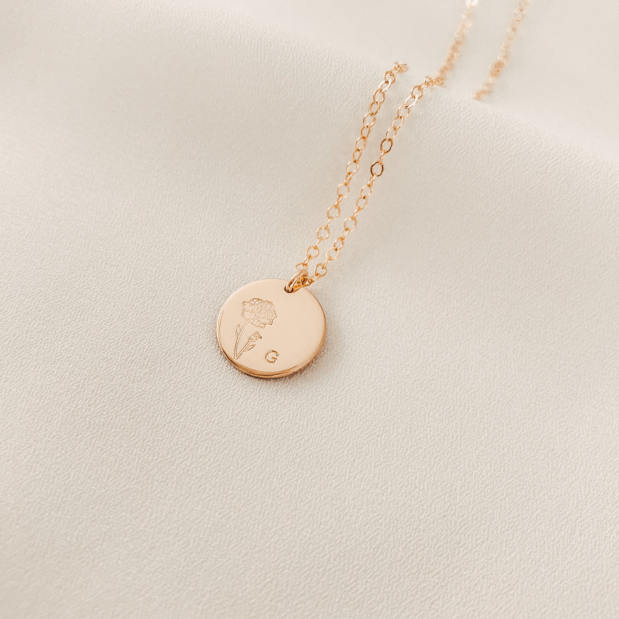 Carnation • Admiration • January Birth Flower