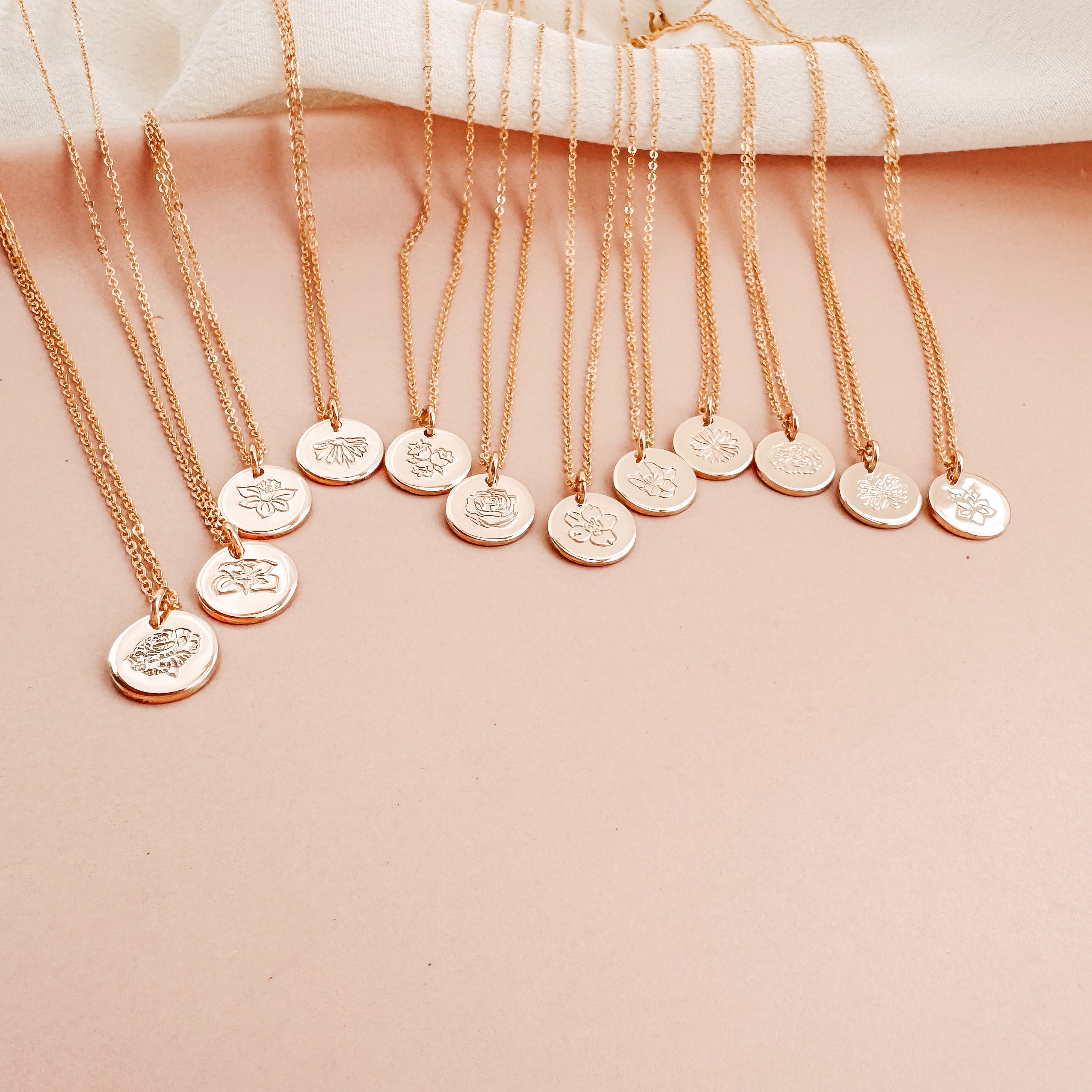 Gladiolus • Strength • August Birth Flower