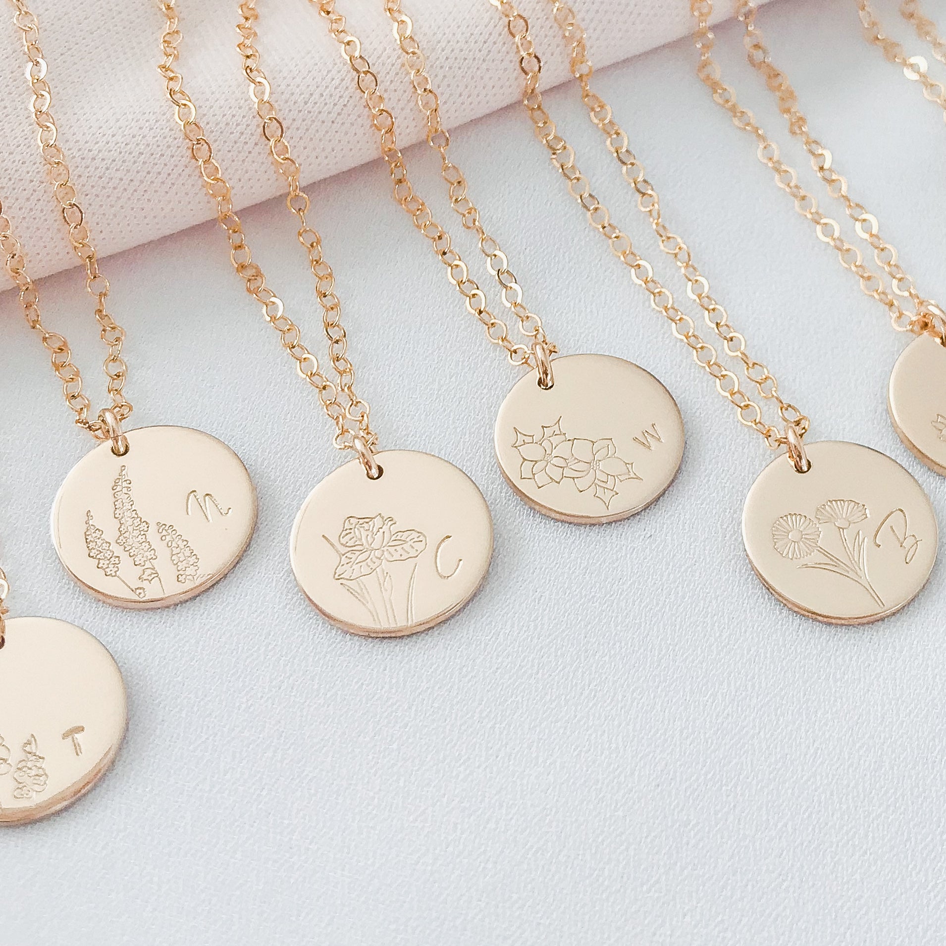 Carnation • Admiration • January Birth Flower