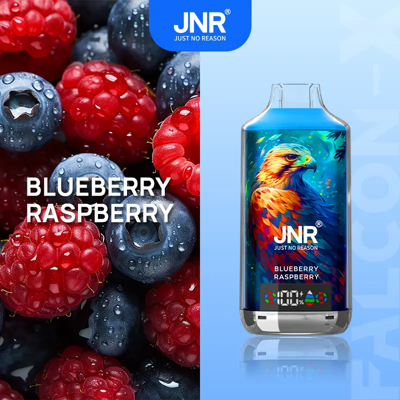 Go&ucirc;t JNR Blueberry Raspberry