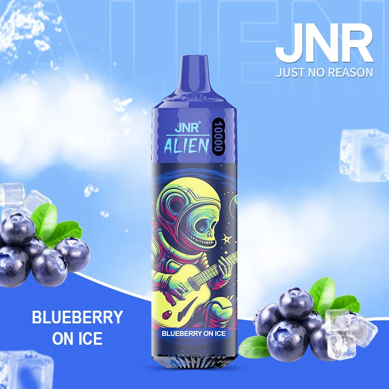 Go&ucirc;t JNR Blueberry On Ice