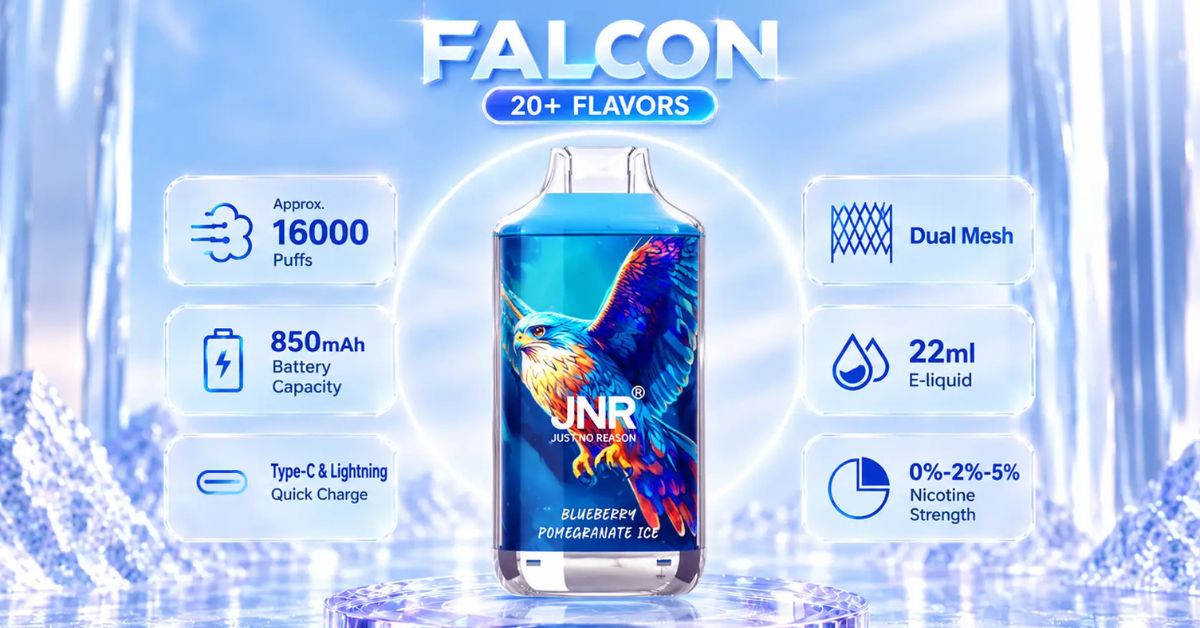 JNR Falcon 16K : avis et points &agrave; consid&eacute;rer