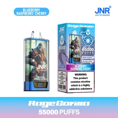 JNR RageGorilla 55K - 55 000 Bouffées - Puff Rechargeable Double Mesh avec Écran Intelligent