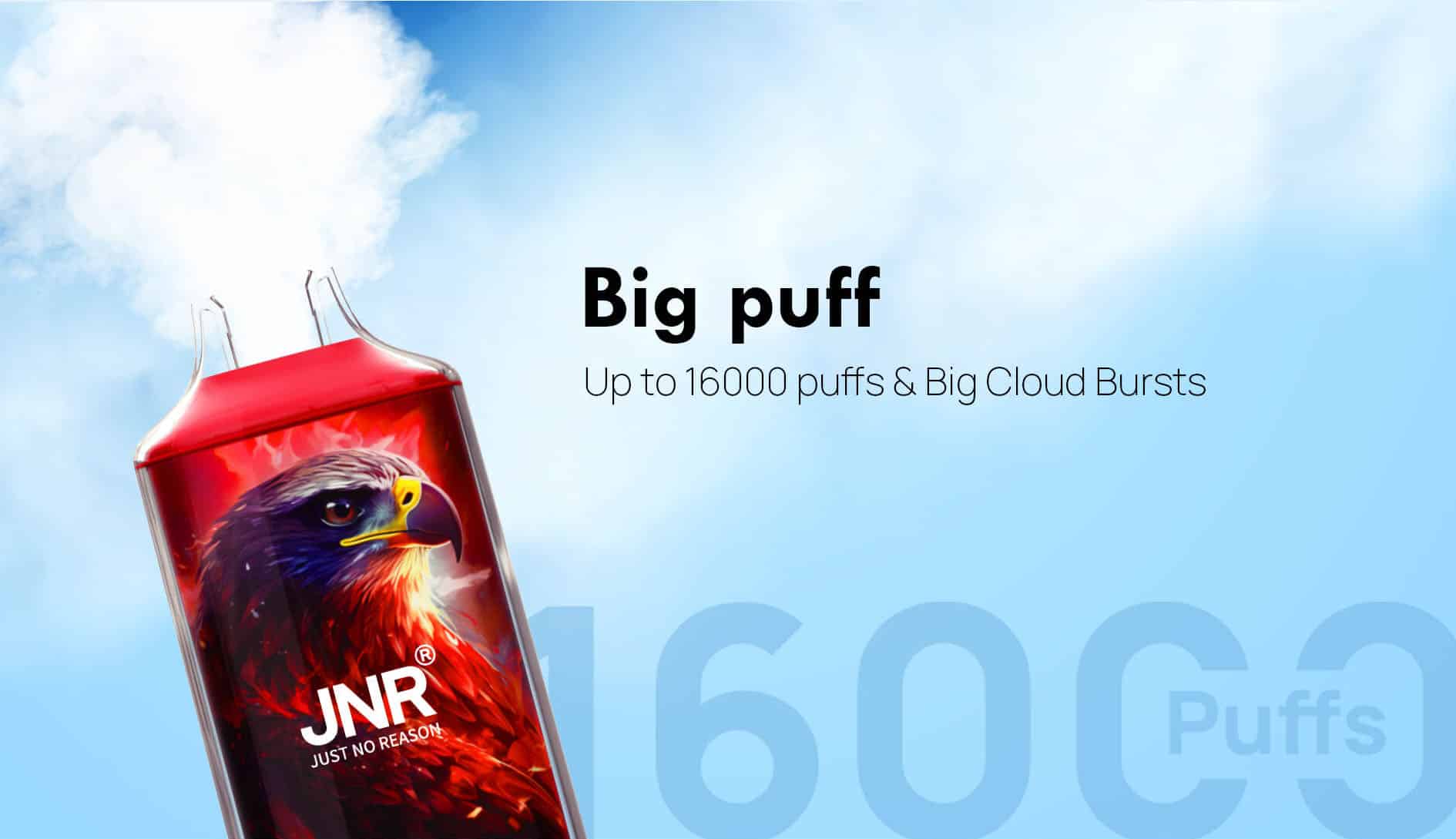  Meilleurs Go&ucirc;ts JNR Vape
