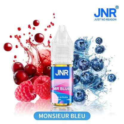JNR E-liquide 10ml - Sels de Nicotine 20mg