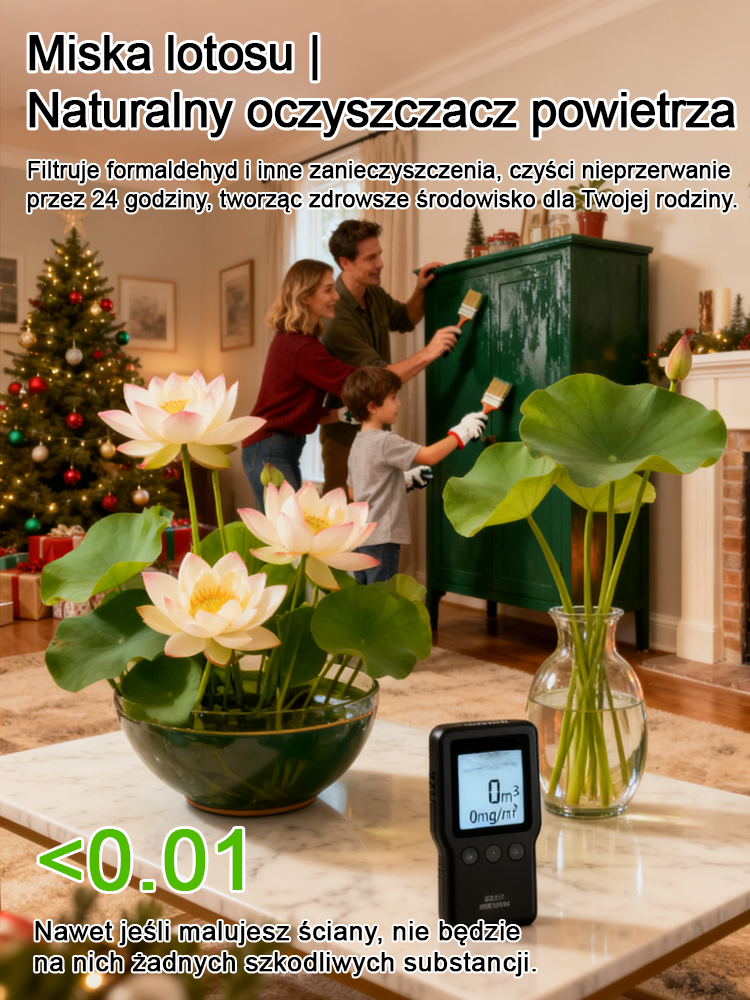 【Bardziej pachnący niż perfumy】Hodowla lotosu wodnego, wysoka przeżywalność 98%, łatwy w uprawie nawet dla początkujących✨Wytrzymuje temperatury nawet do minus 30 stopni Celsjusza.