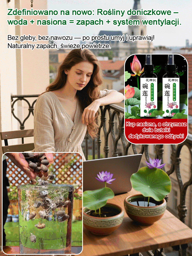 【Bardziej pachnący niż perfumy】Hodowla lotosu wodnego, wysoka przeżywalność 98%, łatwy w uprawie nawet dla początkujących✨Wytrzymuje temperatury nawet do minus 30 stopni Celsjusza.