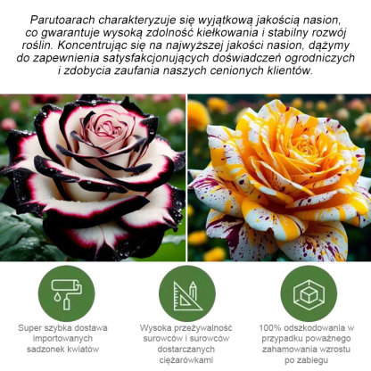 【】Nasiona róży wielogłowych