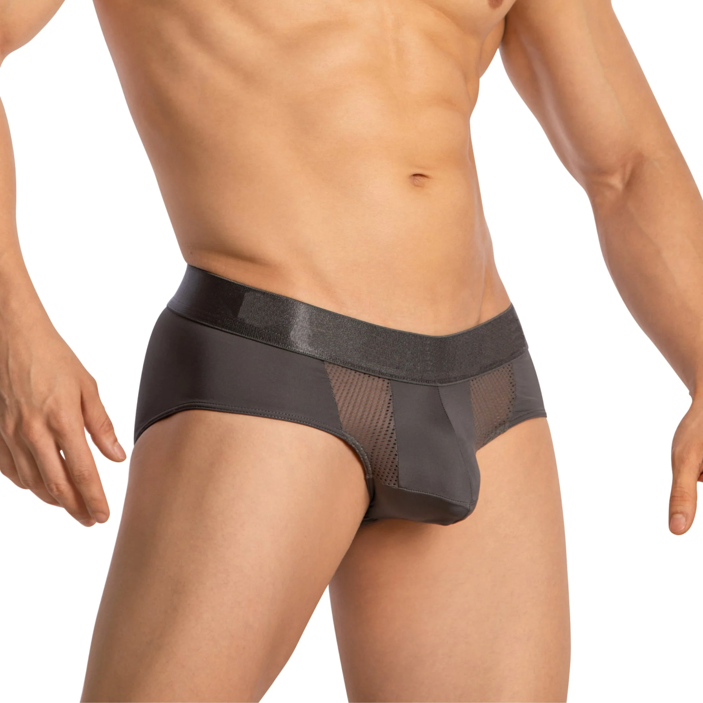 Men's Guy Briefs Men's Underwear Sheer Pants Breathable Mesh Underpants Grundies Athletic Stretchy Sports Wear OEM Elastic