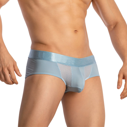 Men's Guy Briefs Men's Underwear Sheer Pants Breathable Mesh Underpants Grundies Athletic Stretchy Sports Wear OEM Elastic