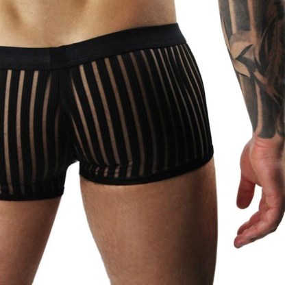 Sports Men's Trunks Swimwear with Vertical Mesh Stripes Boxer Briefs for Male Body-hugging Athletic Pants Guy Sheer Underpants