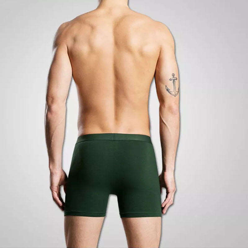 Wholesale China Elastic Waistband Specialised Health Cuecas Men Boxer Briefs Boxers Sexy Clothing Cotton Mens Underwear for Men