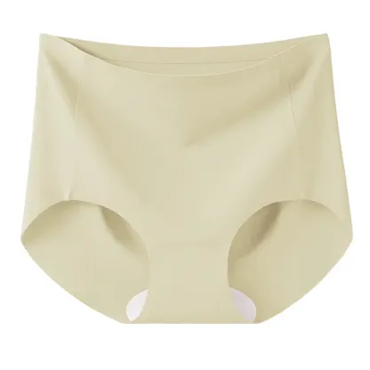 High Elastic Big Size Solid Color Anti-Static Daily Soft Seamless Ice Silk Underwear Brief Yoga Girl Women Panties-RANBAO