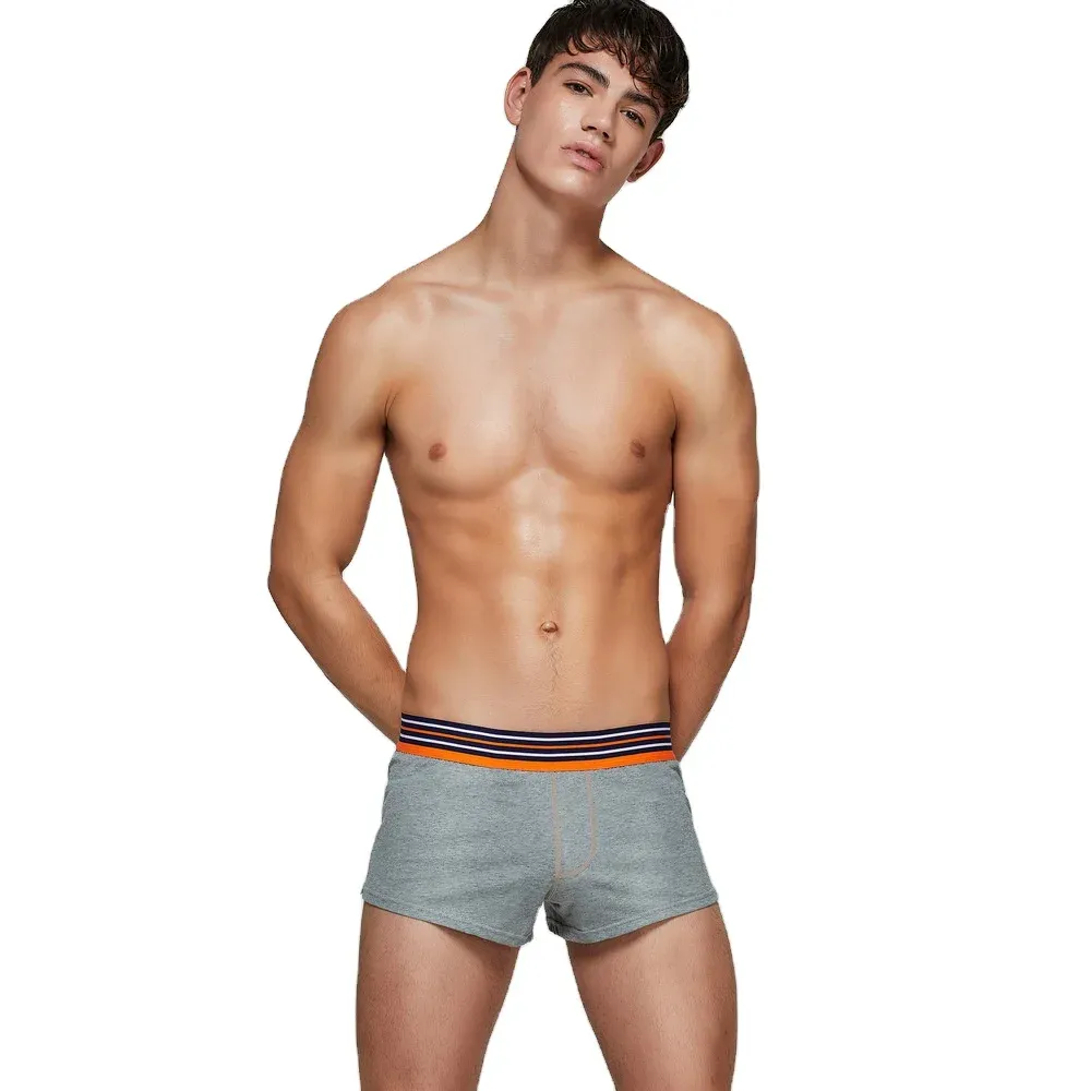Short Leg Men's Boxer Underwear High Quality Organic Cotton Soft Underwear Boxer Shorts-RANBAO