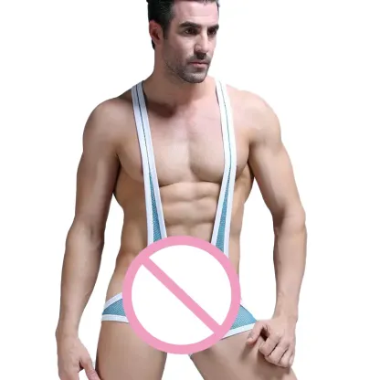 Factory Direct Supply Bodysuit Mens Mixed Colors Gay Mens Bodysuit Mesh Mens Sexy Underwear-RANBAO