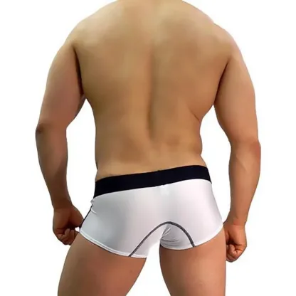 Men's Lingerie Panties Mens Trunk Modal Men Boxer Brief Underwear Briefs Custom-RANBAO