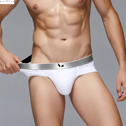 Wholesale Sexy Men Modal Mesh Briefs Breathable Fashion Young Boys Underwear Sheer Mens Underwear-RANBAO
