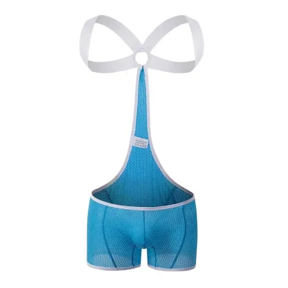 Factory Directly Supply Bodysuit for Men Customize Mix Colors Gay Mens Bodysuit Mesh Mens Sexy Underwear-RANBAO