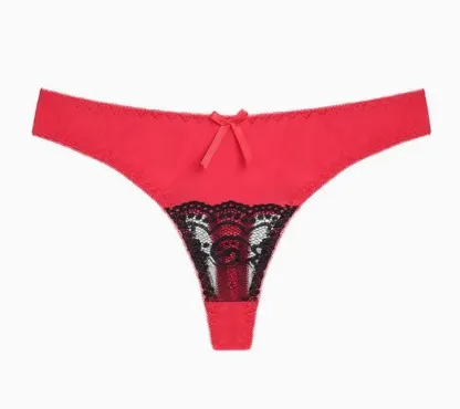 Luxurious Microfiber Thong with Intricate Front Lace Detailing-RANBAO