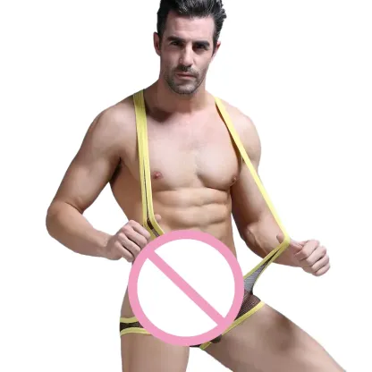 Factory Direct Supply Bodysuit Mens Mixed Colors Gay Mens Bodysuit Mesh Mens Sexy Underwear-RANBAO