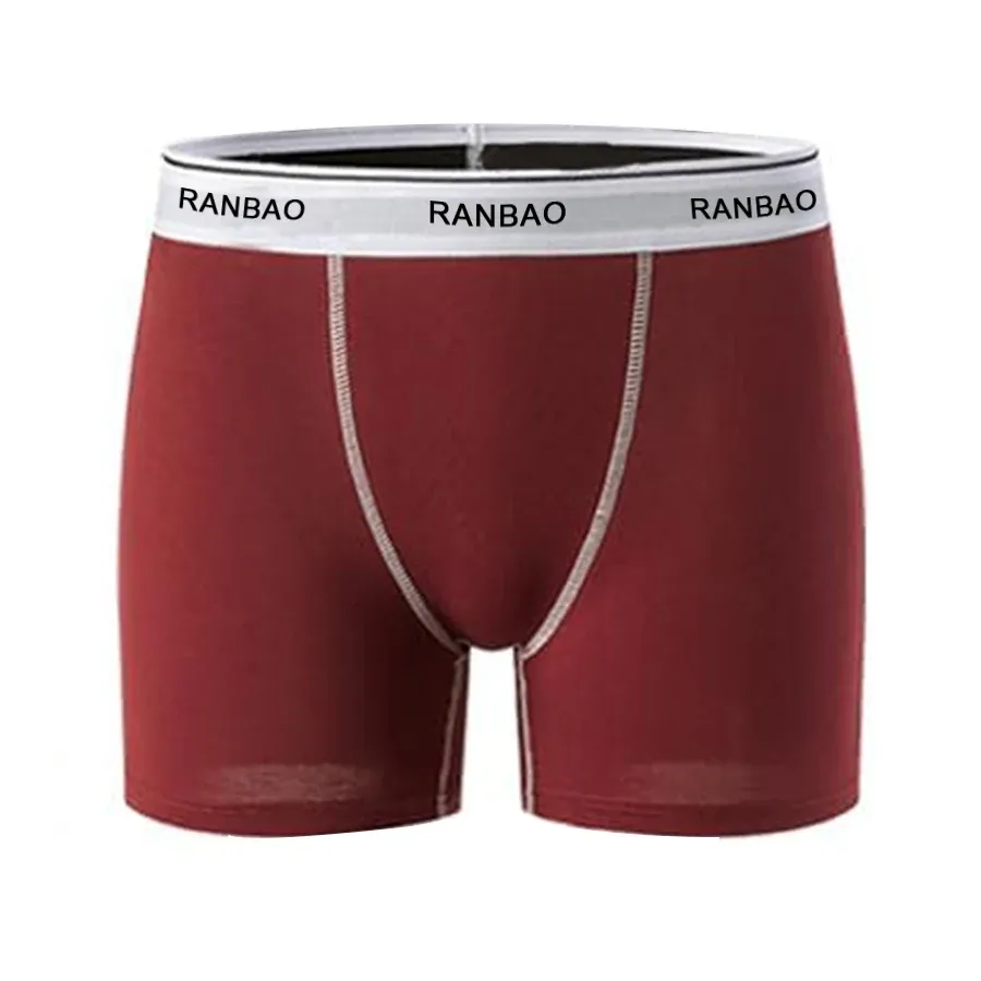 China Manufacturer Custom Cotton Moisture Wicking Underwear Anti Chafing Boy Shorts Panties Womens Boxer Briefs-RANBAO