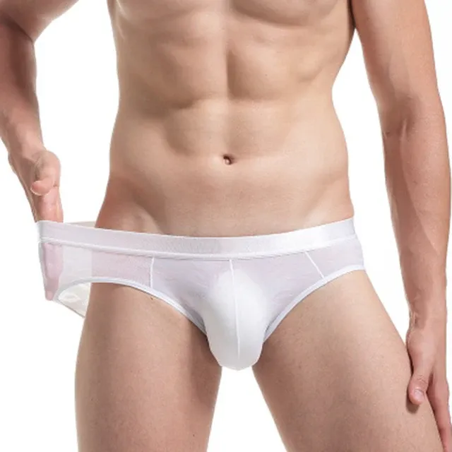 Wholesale Breathable Mesh New Pattern Big Bulge Sexy Inner Wear Gay Man Mature Stretch Male Panties Briefs-RANBAO