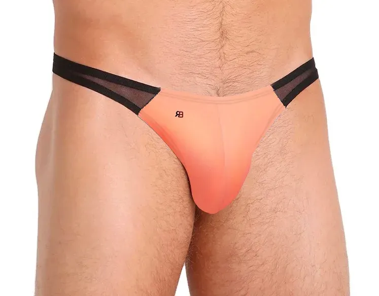 Fashion Men's Transparent Sexy Briefs Man Mesh Sexy Panties for Men Silk High Quality Briefs-RANBAO