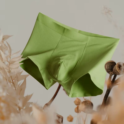 Men's Mid-Rise Boxer Briefs Long-Staple Cotton Underwear Seamless Graphene Crotch Breathable Anti-Chafing Logo Waist Knitted