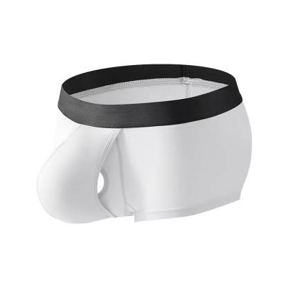 2025 New Men's Underwear Soft Fiber BiSexy Men's Underwear Funny Boys Trunk