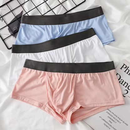 2025 New Men's Underwear Soft Fiber BiSexy Men's Underwear Funny Boys Trunk