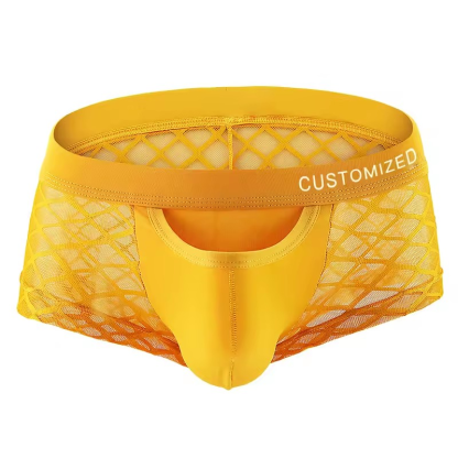 Wholesale New Products Mens Boxer Briefs Perspective Mesh Design Underwear High Quality Man Boxer Briefs